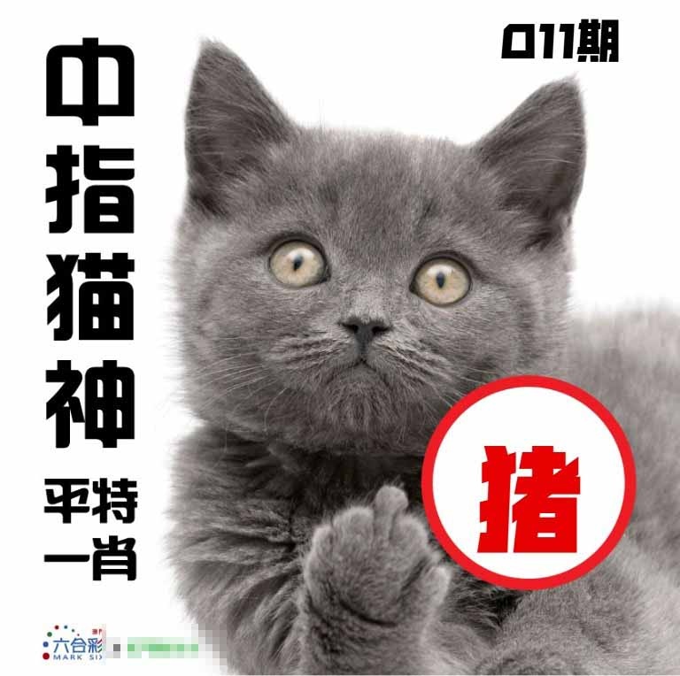 011期中指猫神[图]