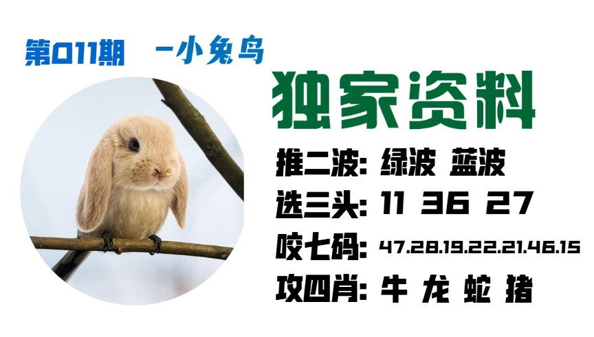 011期小兔鸟[图]